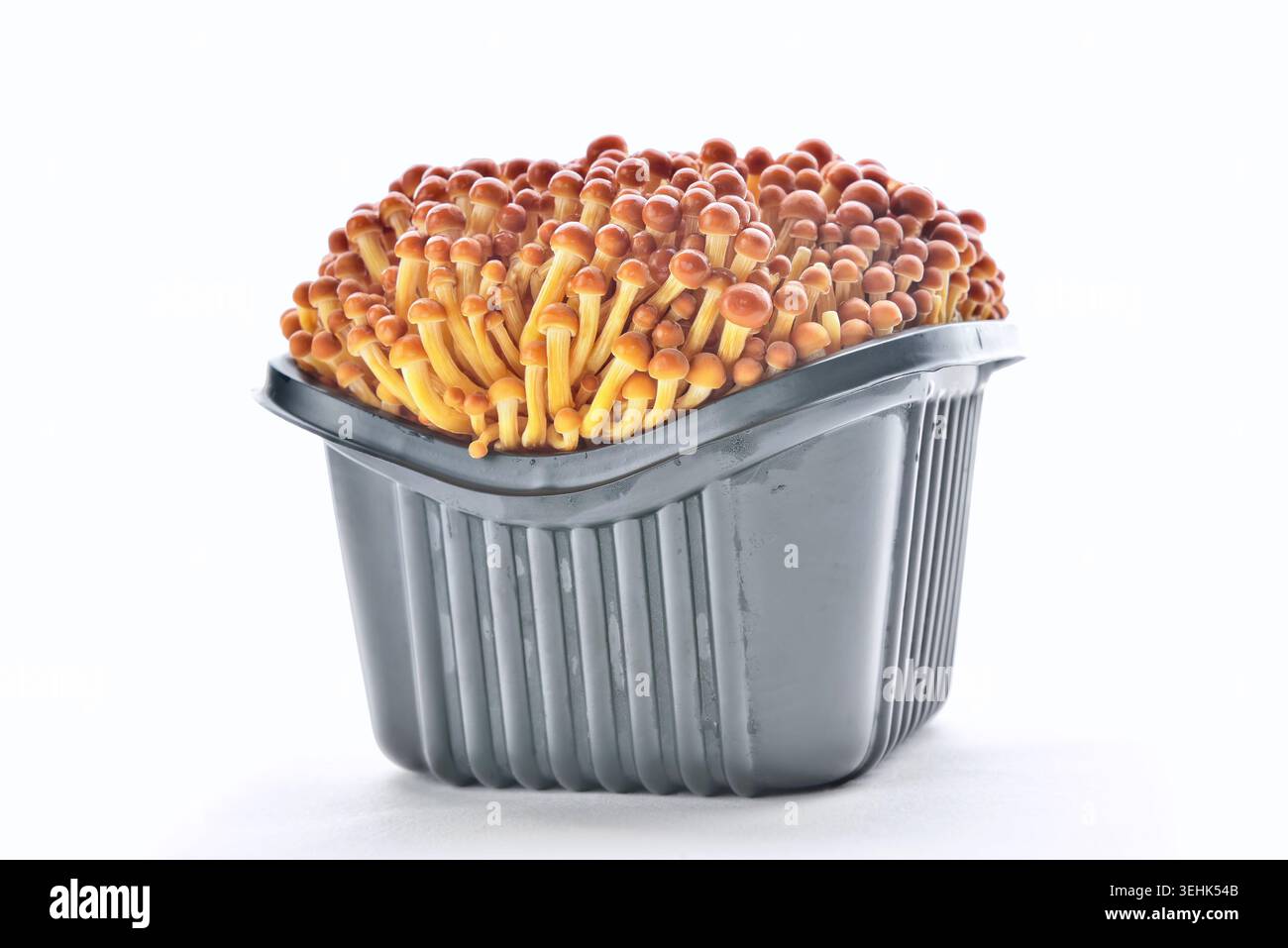 Mazzo di funghi Enoki Gold prodotto in Corea del Sud su bianco. Foto Stock