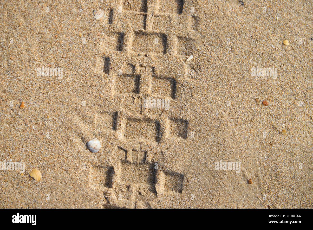 Impronta di pneumatici per auto su spiaggia sabbiosa Foto Stock