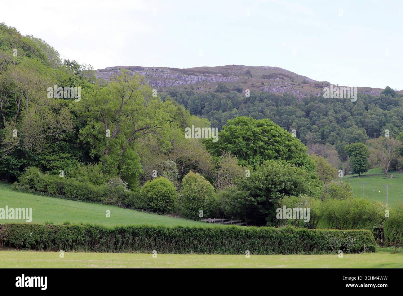 La falesia calcarea di Bryn Alyn, localmente conosciuta come Pot Hole Crag, Llanferres, Denbighshire, Galles Foto Stock