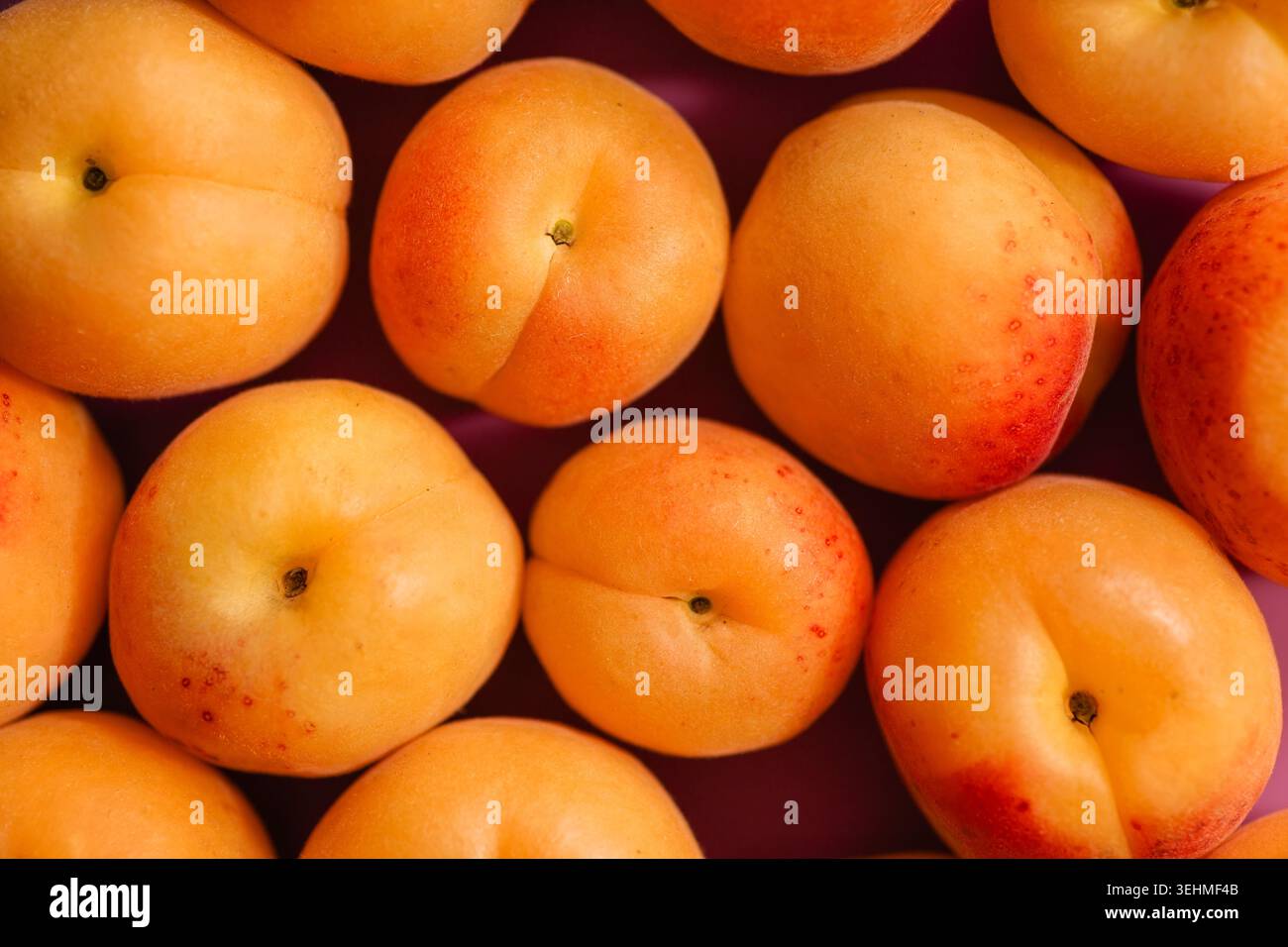 Albicocche fresche che mostrano vibrante frutta estiva Foto Stock