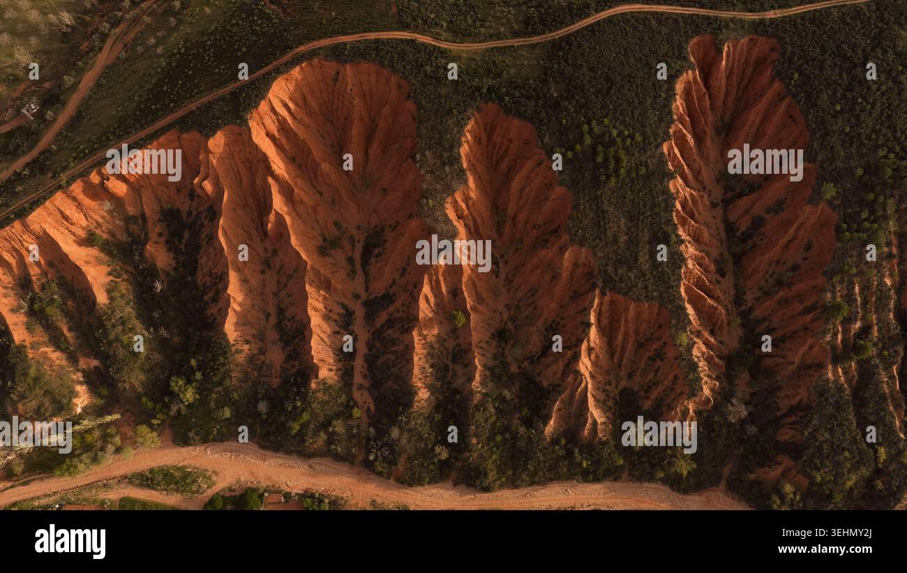 Drone aereo di calanchi color sabbia creste e calanchi con vegetazione primaverile sparsa, tortuosa strada sterrata e spettacolari ombre vicino a Guadalajara, Spagna. Foto Stock