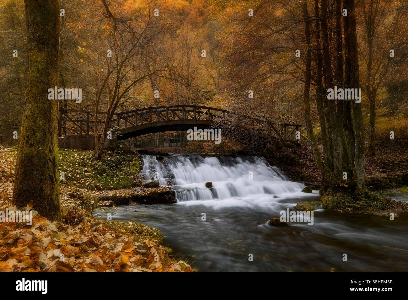 Ponte di legno e ruscello autunnale a Vrelo Bosne in Bosnia ed Erzegovina Foto Stock
