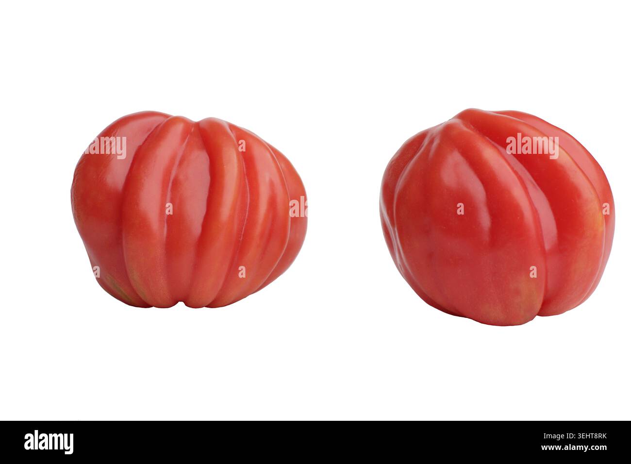 La loro pelle liscia risplende sotto una luce soffusa da studio. Le forme arrotondate dei pomodori suggeriscono freschezza e maturazione Foto Stock