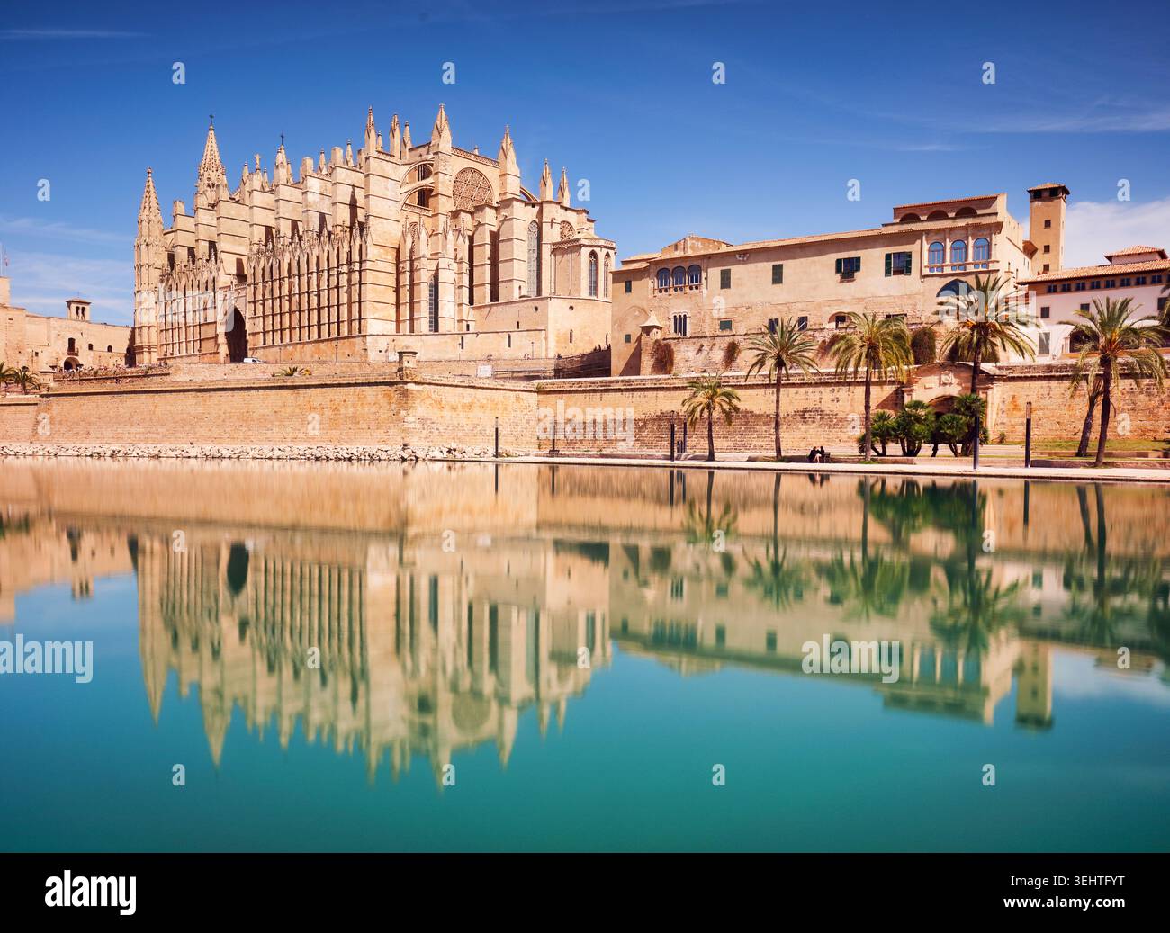 Cattedrale di Maiorca e parco con palme. Parc de la Mar a Palma di Maiorca - panorama Foto Stock