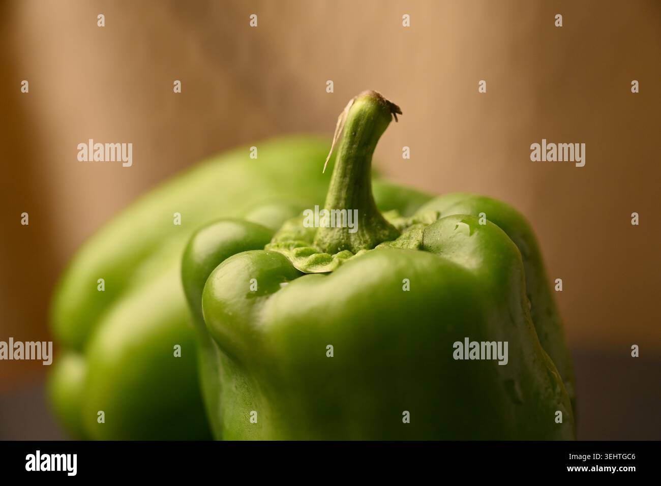 Gruppo di cappucci verdi freschi primo piano con sfocatura dello sfondo – Macro Vegetable Photography Foto Stock