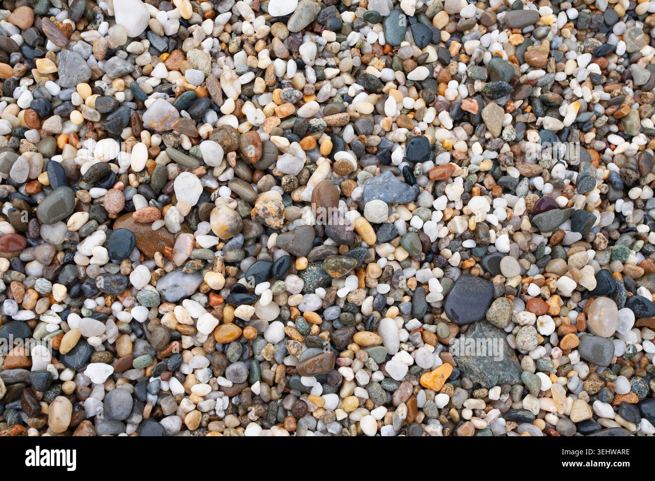 Primo piano di ciottoli sulla spiaggia Foto Stock