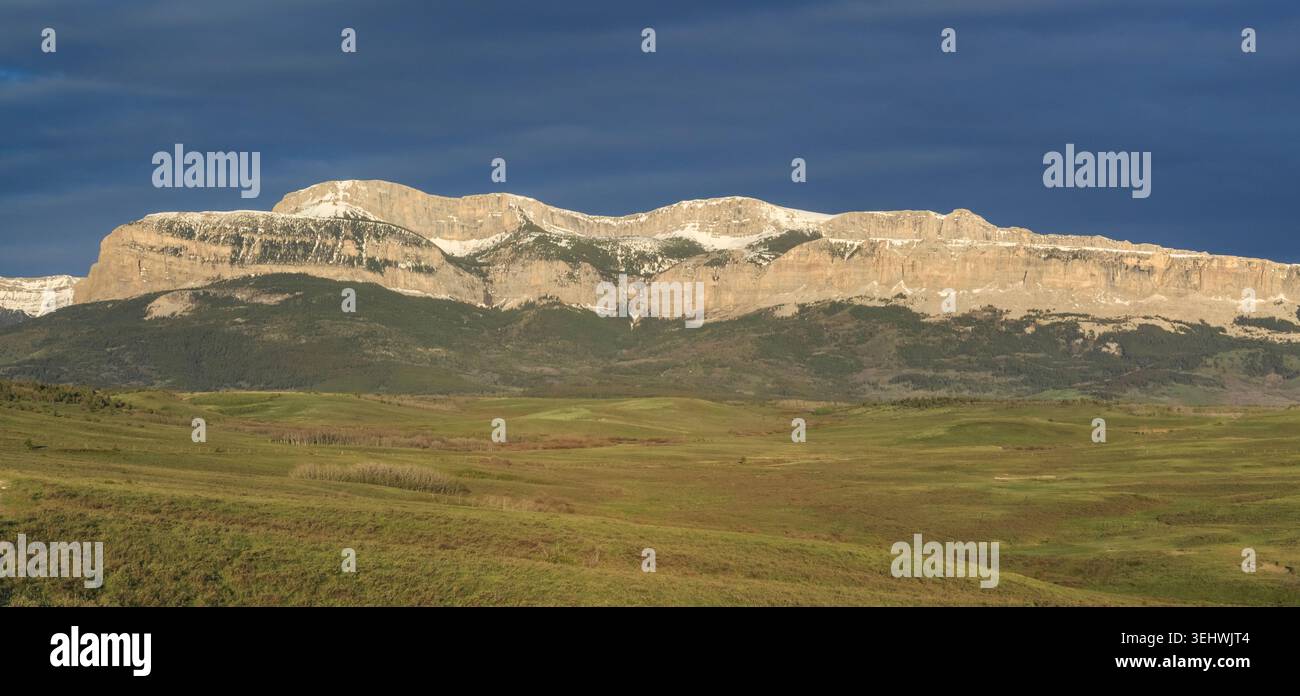 panorama della barriera corallina a parete lungo il fronte roccioso di montagna vicino dupuyer, montana Foto Stock