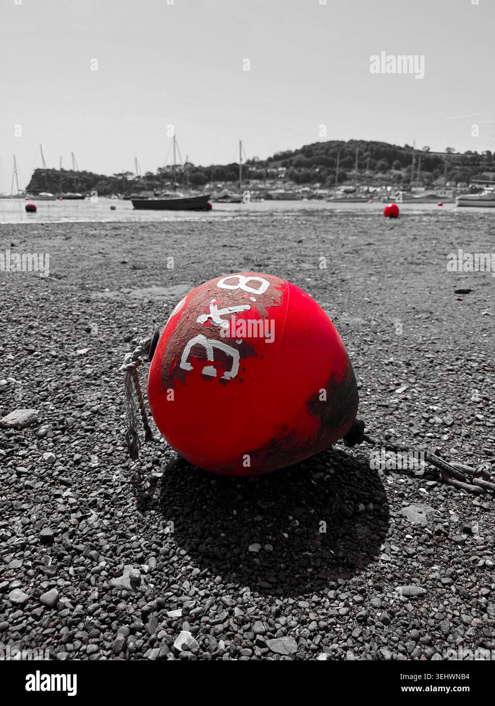 Boe dai colori vivaci che poggiano sulla sabbia bagnata durante la bassa marea, le loro forme si specchiano nelle piscine poco profonde lasciate dietro dall'acqua che si ritira. Foto Stock