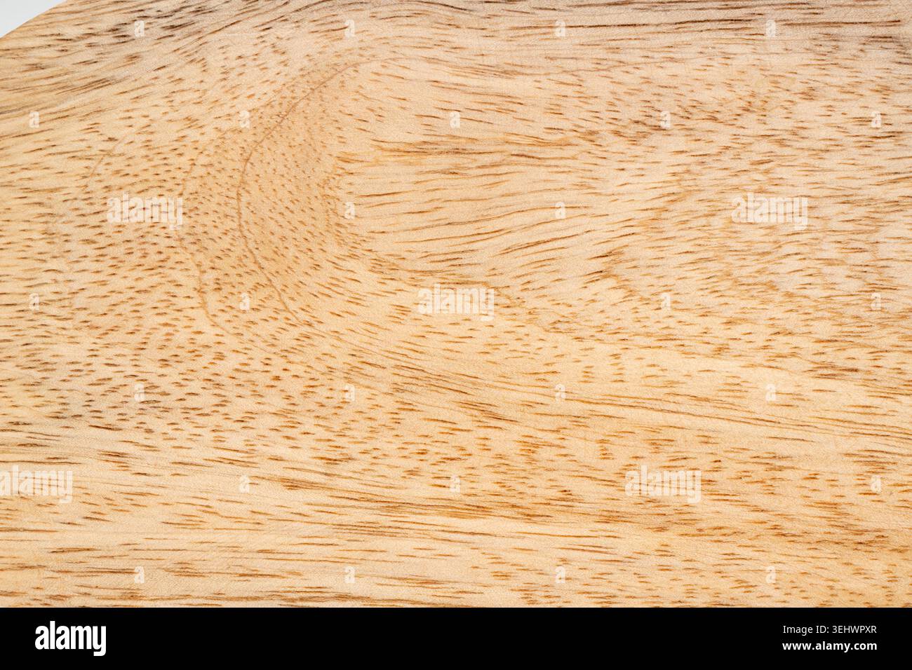Vista dall'alto con struttura in legno mango. Fondo vassoio in legno da cucina, impiallacciatura mangifera indica organica, superficie in legno di mango primo piano Foto Stock