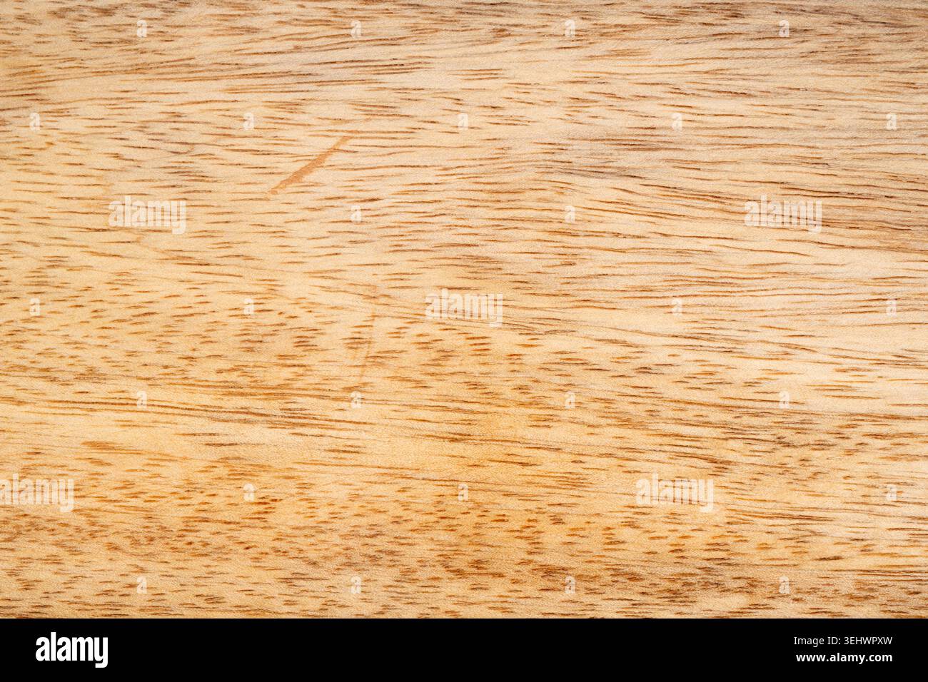 Vista dall'alto con struttura in legno mango. Fondo vassoio in legno da cucina, impiallacciatura mangifera indica organica, superficie in legno di mango primo piano Foto Stock