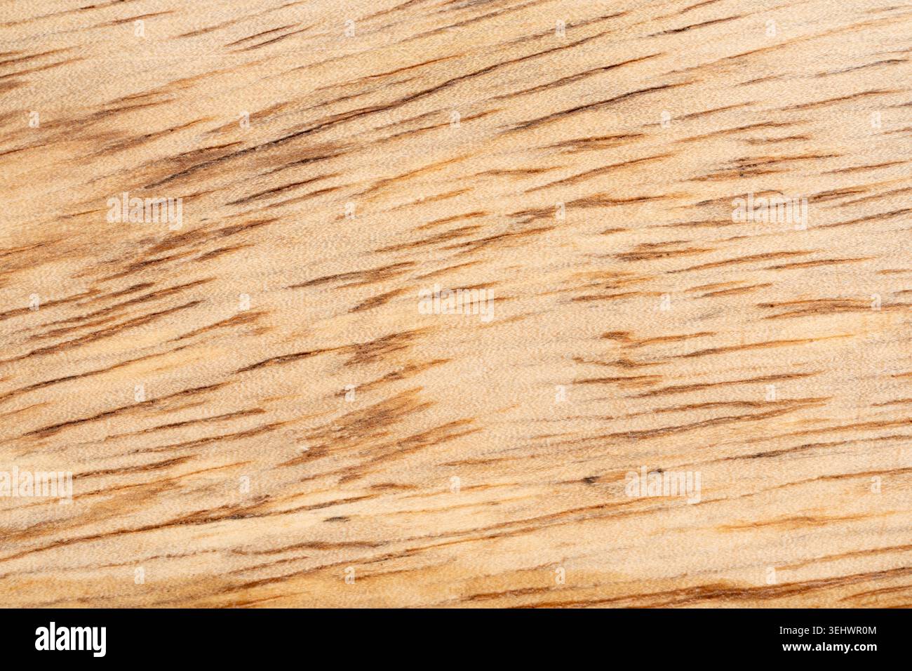 Vista dall'alto con struttura in legno mango. Fondo vassoio in legno da cucina, impiallacciatura mangifera indica organica, superficie in legno di mango primo piano Foto Stock