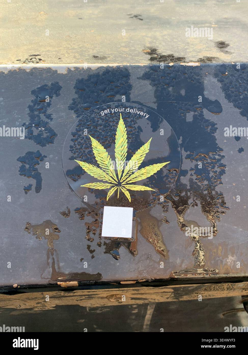 Adesivo trasparente applicato su un cestino della lettiera che mostra una foglia di cannabis e invita i clienti - Immagine stock catturata con smartphone