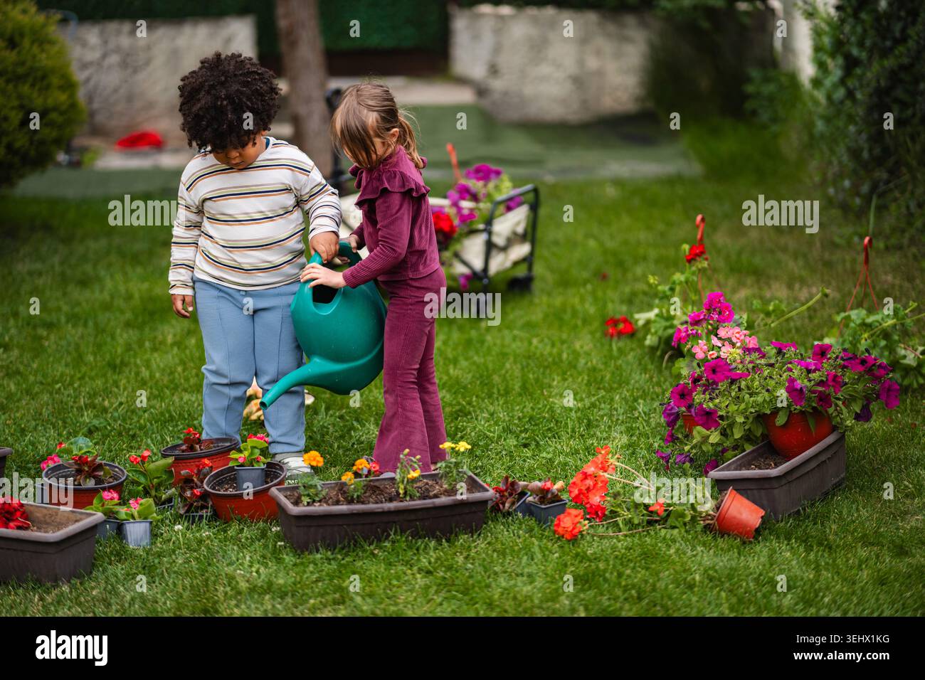 Bambini che innaffiano piante in vaso insieme nel giardino del cortile Foto Stock