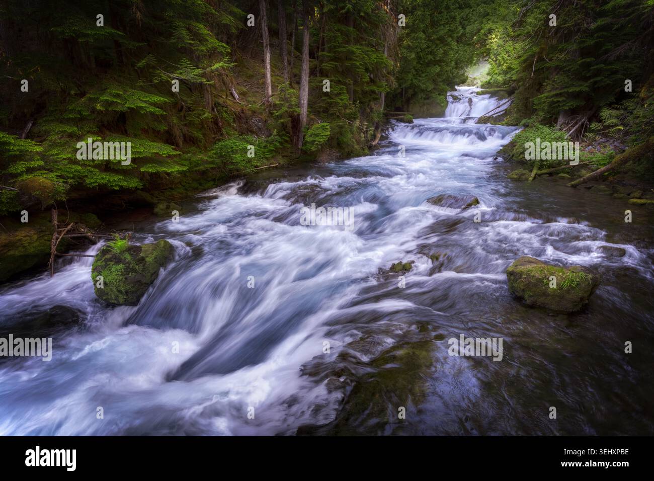 Una lunga e vibrante esposizione di un fiume boschivo che precipita su rocce e massi muschiati Foto Stock