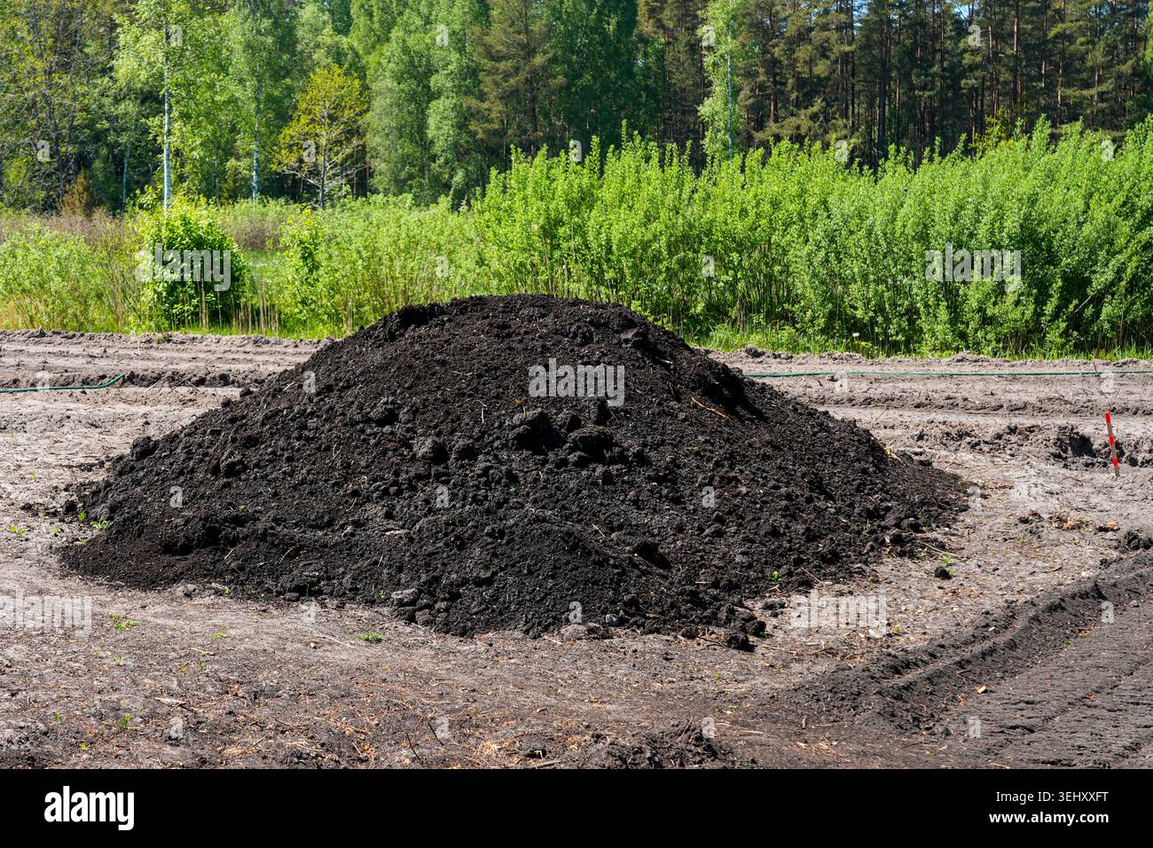 Un'ampia pila di terreno nero fertile su terreni agricoli sgomberati durante i lavori di preparazione del sito agricolo Foto Stock