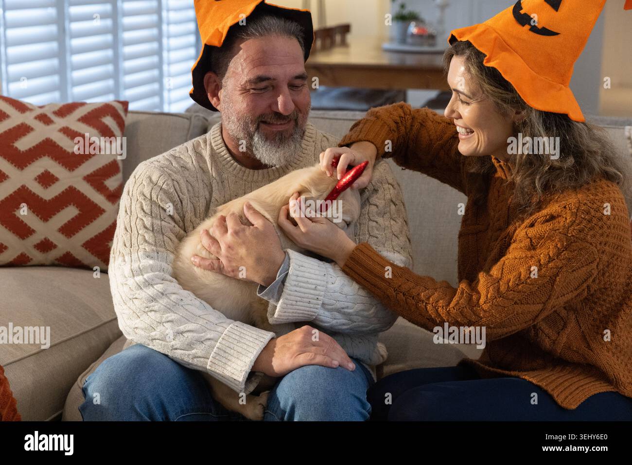 Coppia seduta sul divano con cappelli arancioni da strega di Halloween, donna che spazzola il cucciolo con la spazzola rossa Foto Stock