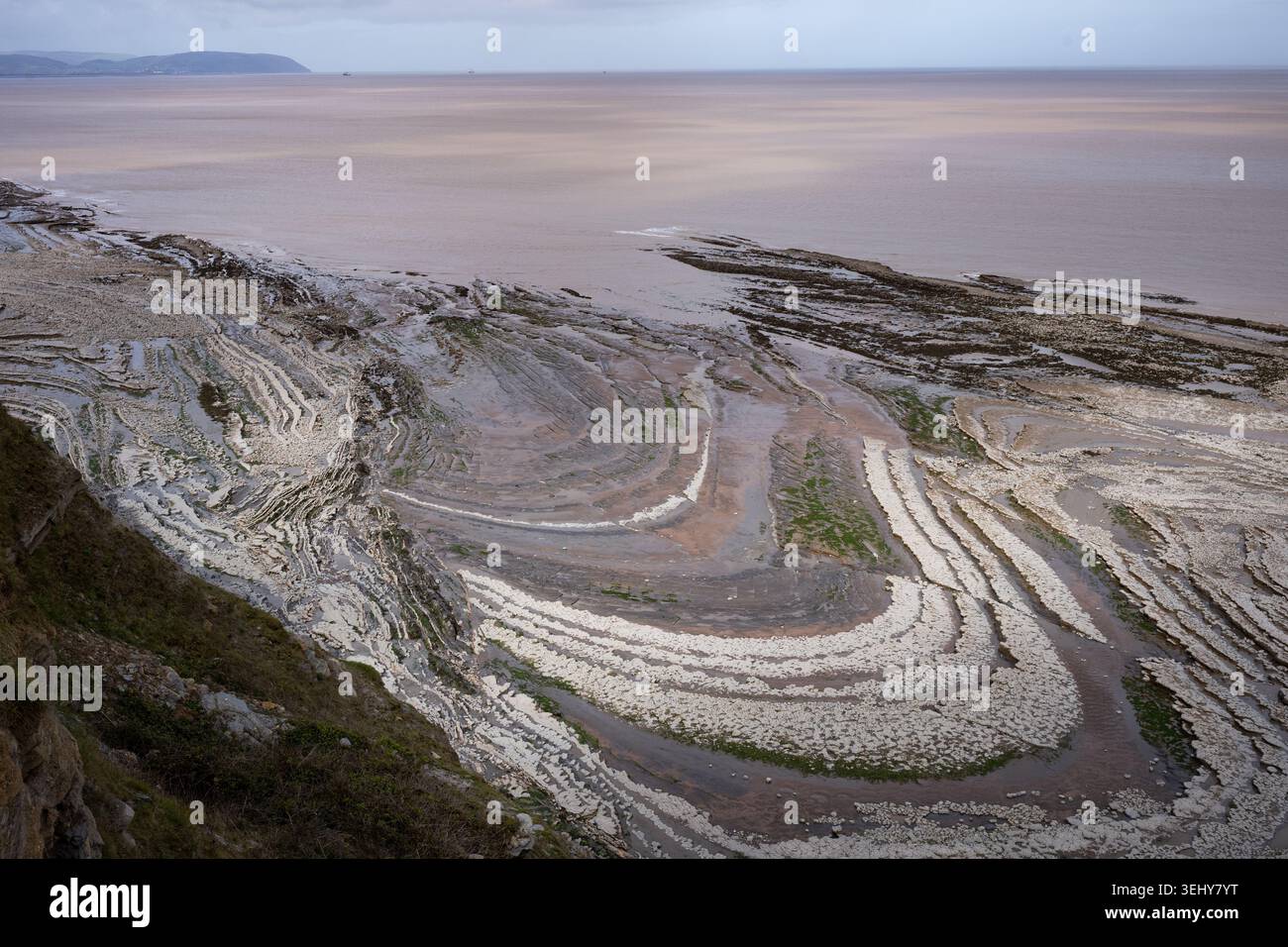 Formazioni rocciose a Kilve Beach SSSI, Somerset, Inghilterra. Foto Stock