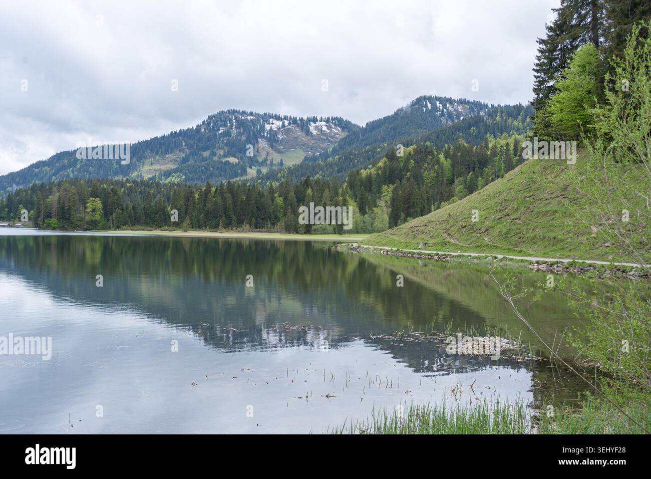 Splendido paesaggio di un lago alpino cristallino con uno specchio perfetto di verdi montagne di pini e spettacolari nuvole. Silenzioso e naturale Foto Stock