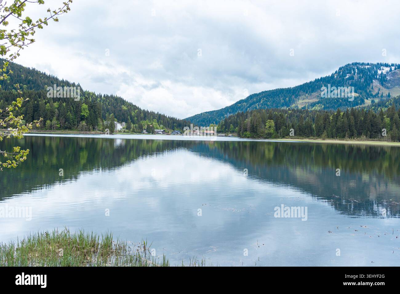 Vista panoramica di un lago di montagna attraverso delicati rami di alberi verdi sulla riva. L'acqua calma riflette le colline e le pesanti nuvole Foto Stock