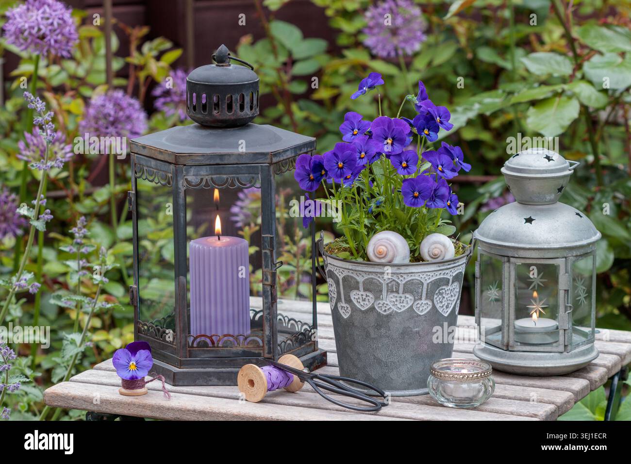 romantica sistemazione con fiori viola blu e lanterne vintage in giardino Foto Stock