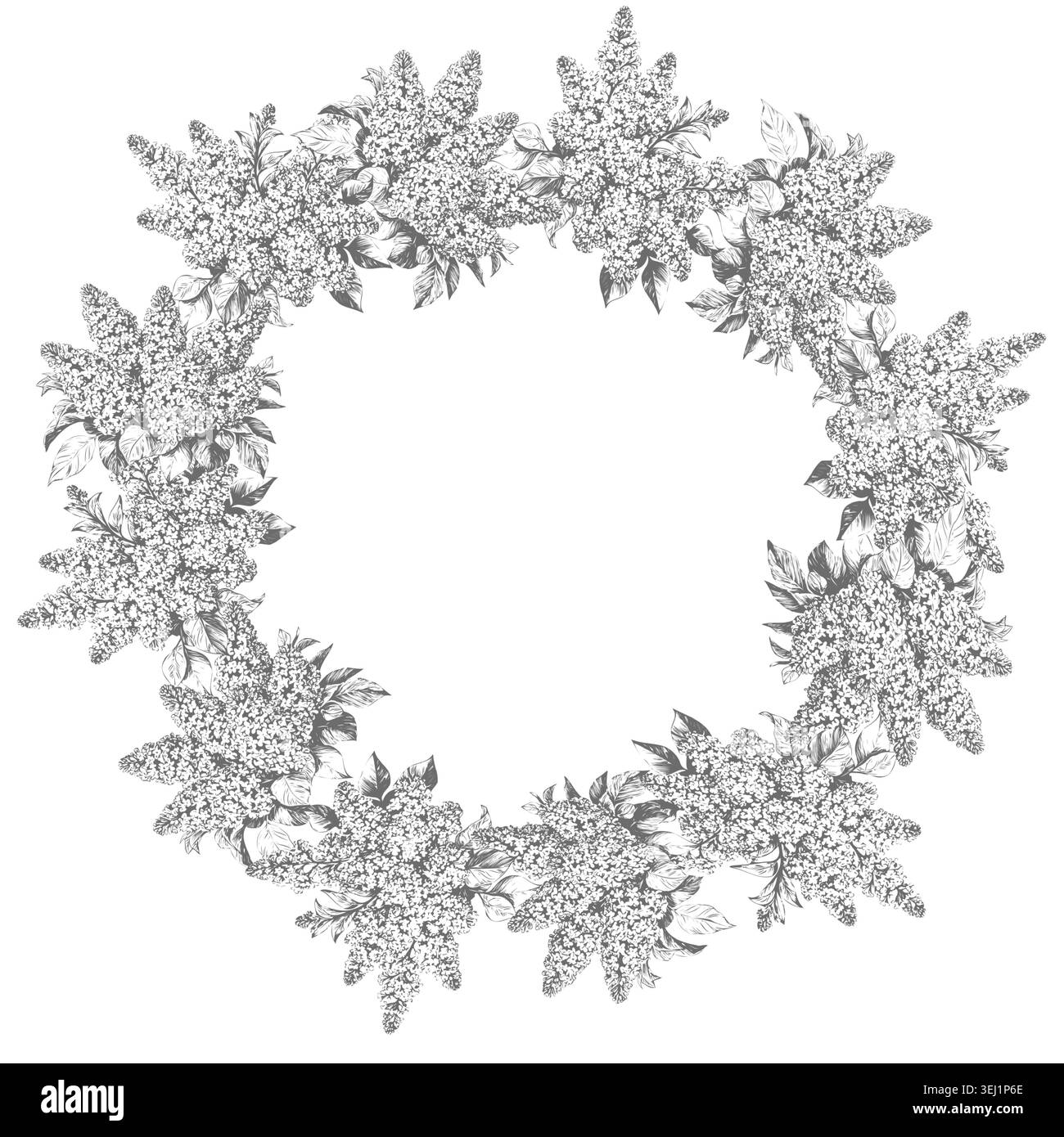 Una corona delle loro lillas fiorenti, schizzo. illustrazione vettoriale. Cornice rotonda floreale di mazzi di fiori, isolata su sfondo bianco Illustrazione Vettoriale