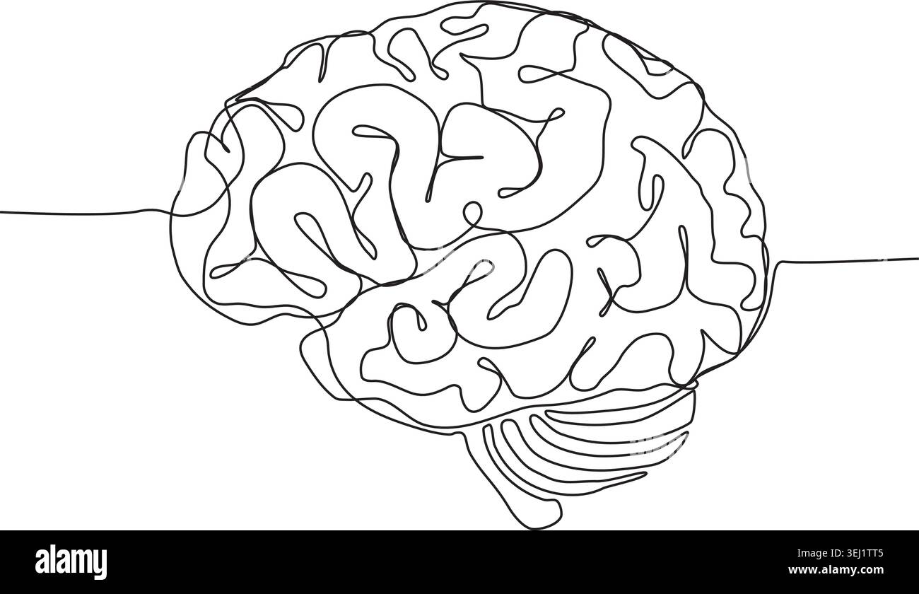 Un disegno minimalista a linea continua di un cervello umano su uno sfondo bianco, che mostra semplicità e arte astratta. Illustrazione Vettoriale
