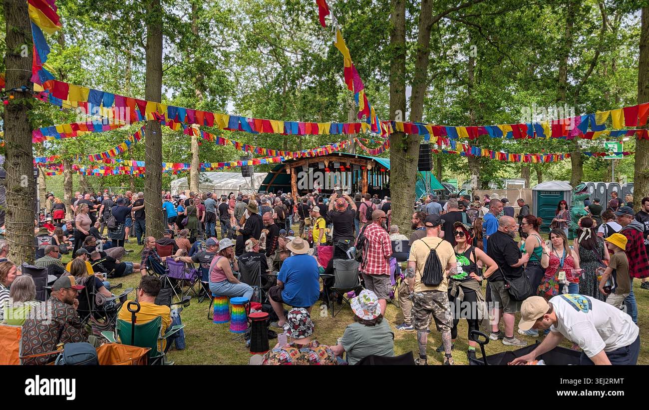 Bearded Theory Festival 2026, Woodland Stage - Immagine stock catturata con smartphone