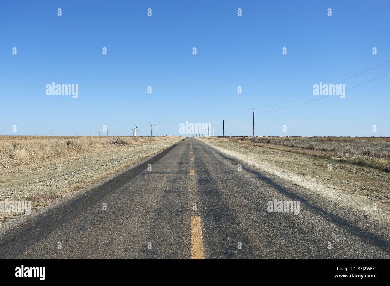 Strada asfaltata vuota attraverso campagna pianeggiante. Trasporto rurale e concetto di viaggio con cielo azzurro e orizzonte lontano. Foto Stock