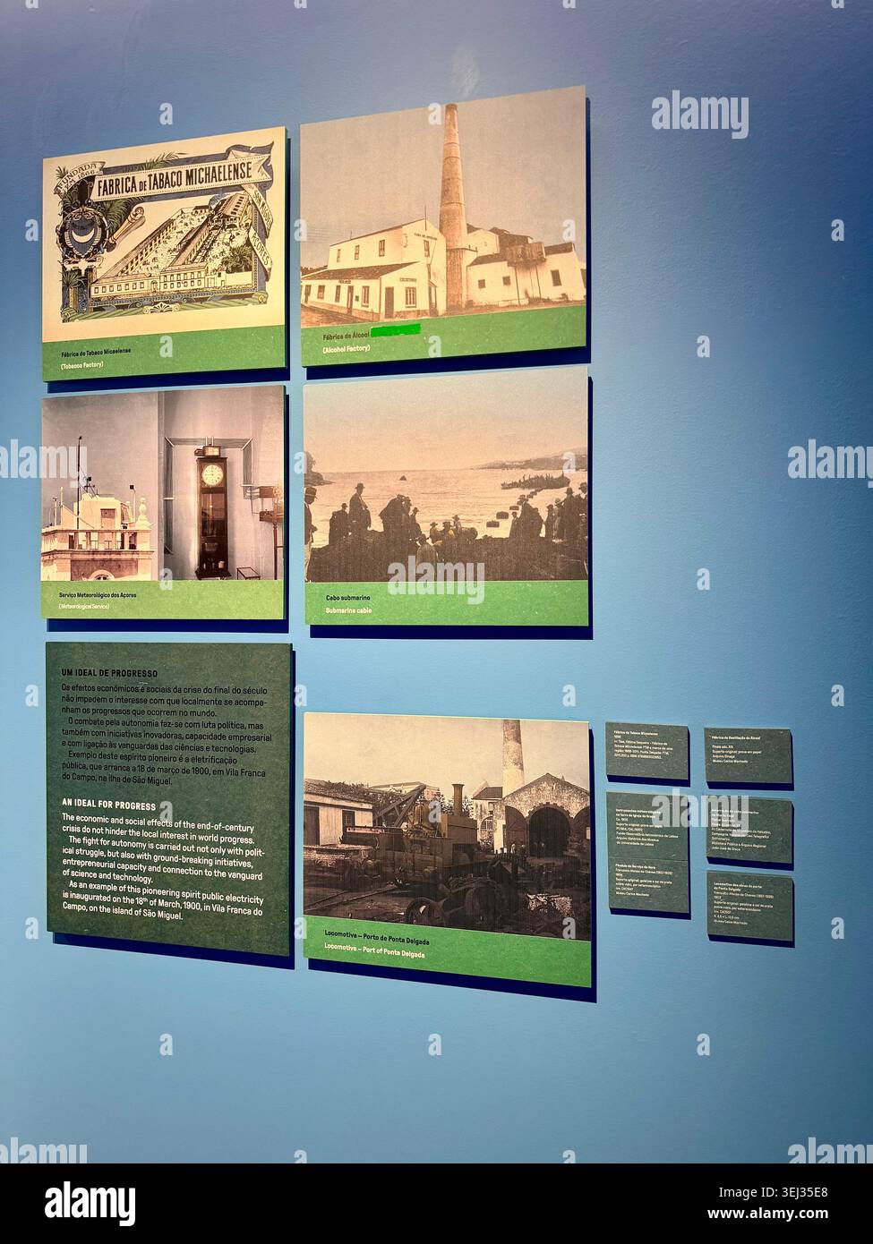 Il Museo dell'autonomia delle Azzorre espone a Palácio da Conceição, parte del Museo Carlos Machado, Ponta Delgada, Azzorre, Portogallo. Foto Stock