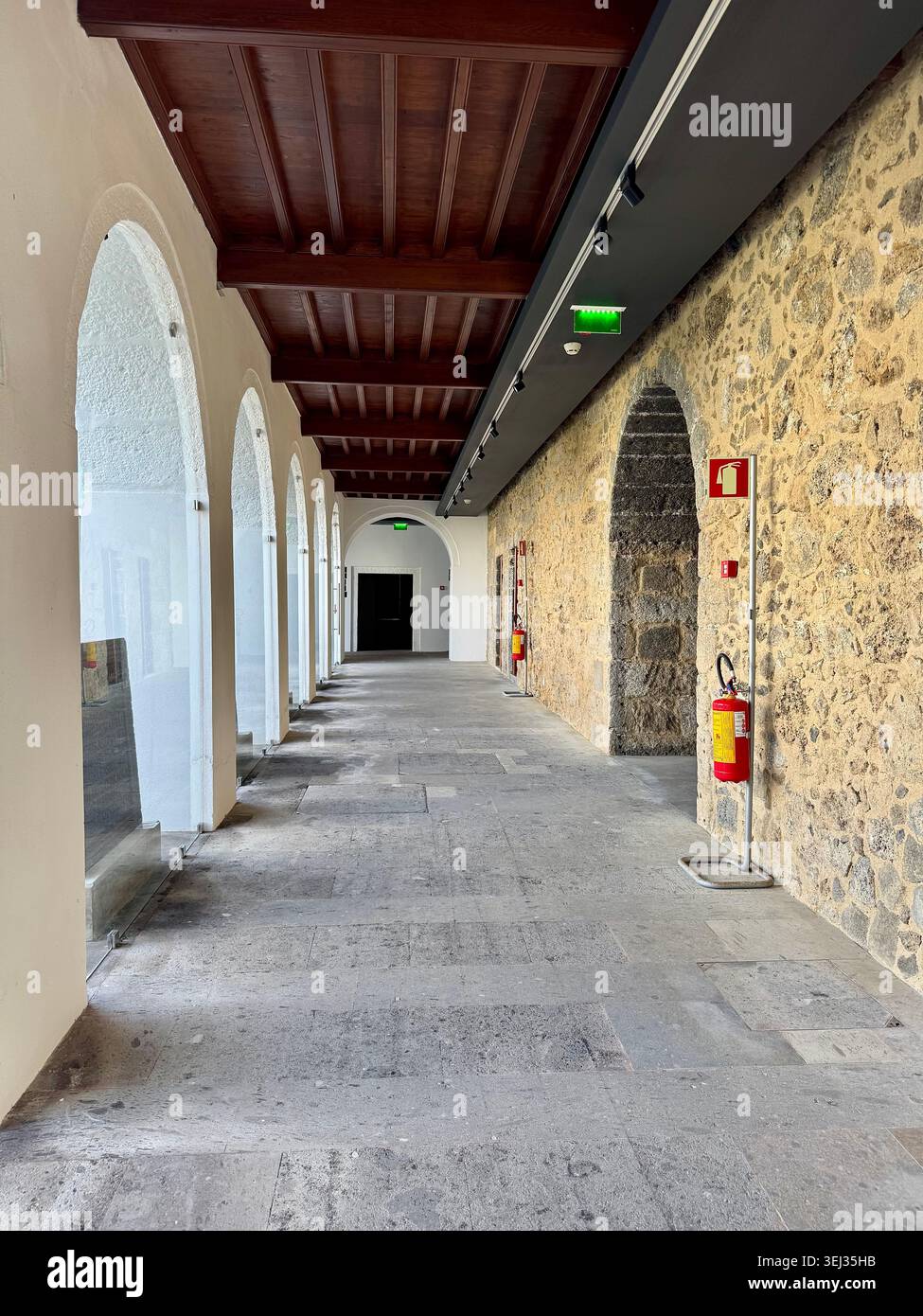 Il Museo dell'autonomia delle Azzorre espone a Palácio da Conceição, parte del Museo Carlos Machado, Ponta Delgada, Azzorre, Portogallo. Foto Stock