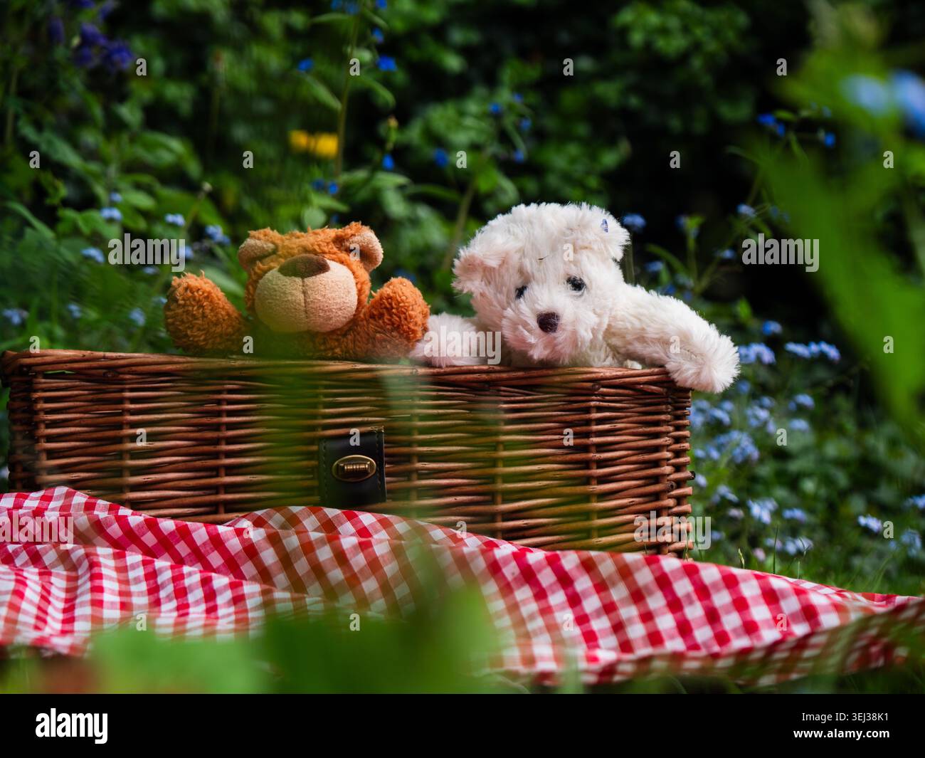 Picnic con orsacchiotto con cesto in tessuto vintage in erba Foto Stock
