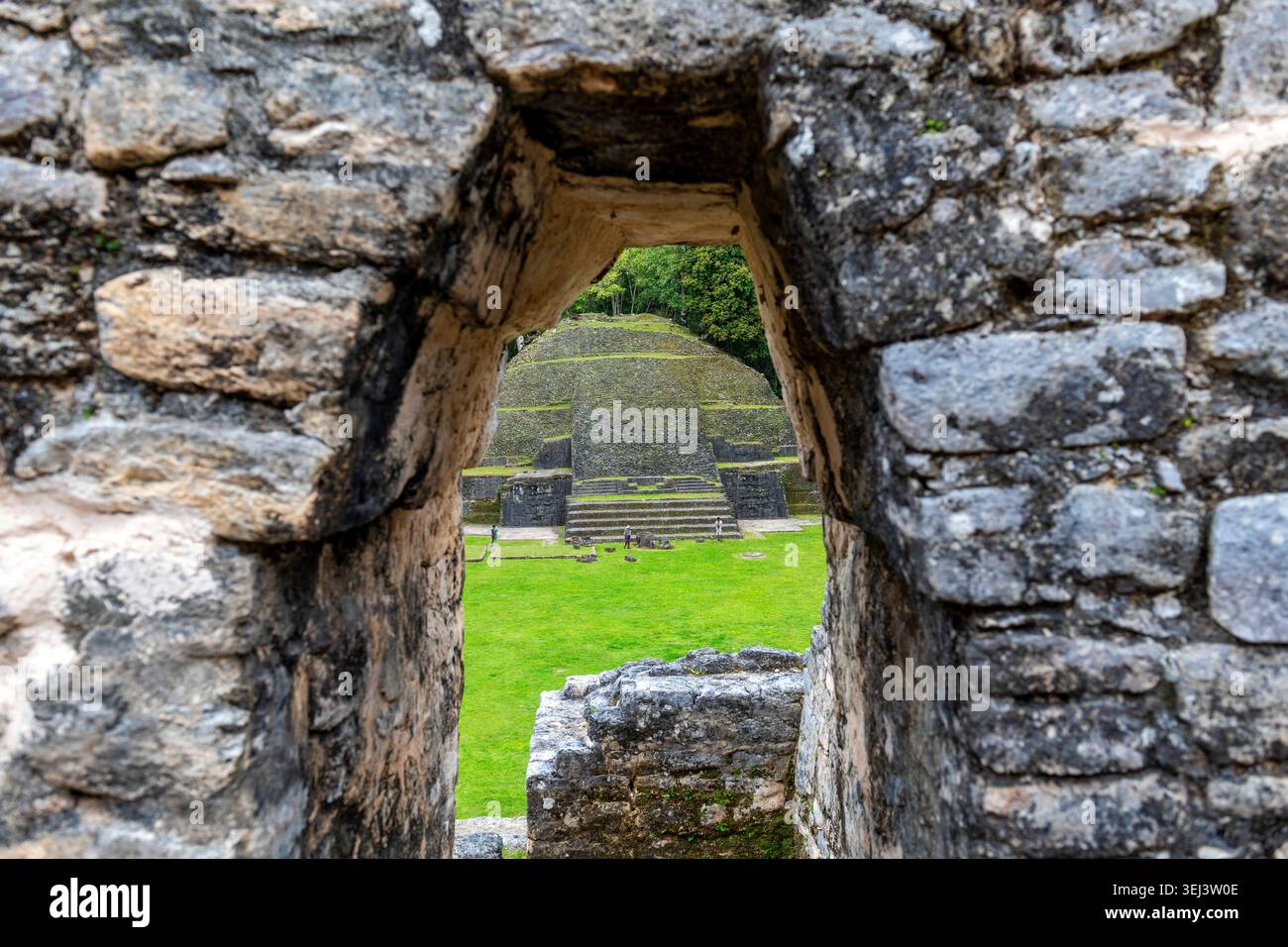 Vista sul Tempio Maya del Giglio d'acqua (struttura 5B) sotto un tetto di mansarda, Caracol, Belize. Foto Stock