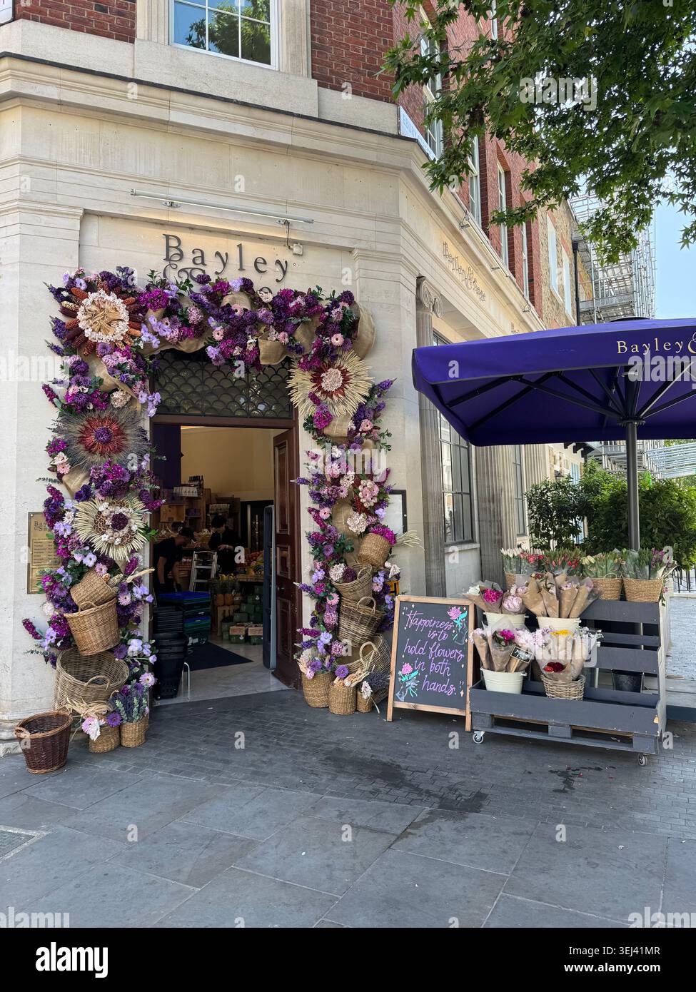 Elegante ingresso al negozio di fiori di Bayley in Ebury Street a Belgravia, decorato con uno splendido arco di fiori viola e rosa. - Immagine stock catturata con smartphone