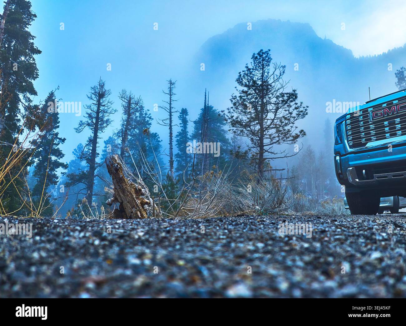 Ground Level Mountain Road con camion e Misty Pine Forest Mt Charleston Foto Stock