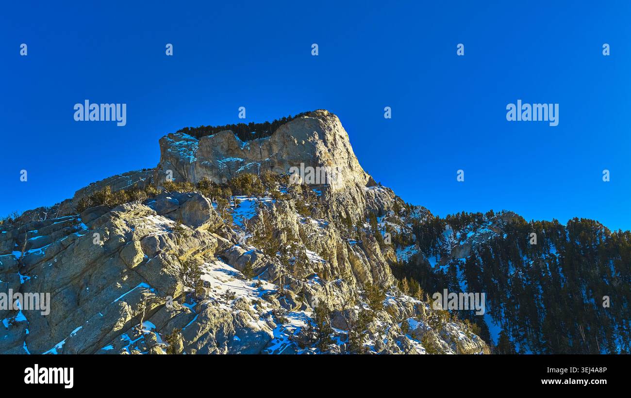 Il Monte Charleston, con il suo picco innevato, e gli alberi sotto il cielo azzurro Foto Stock