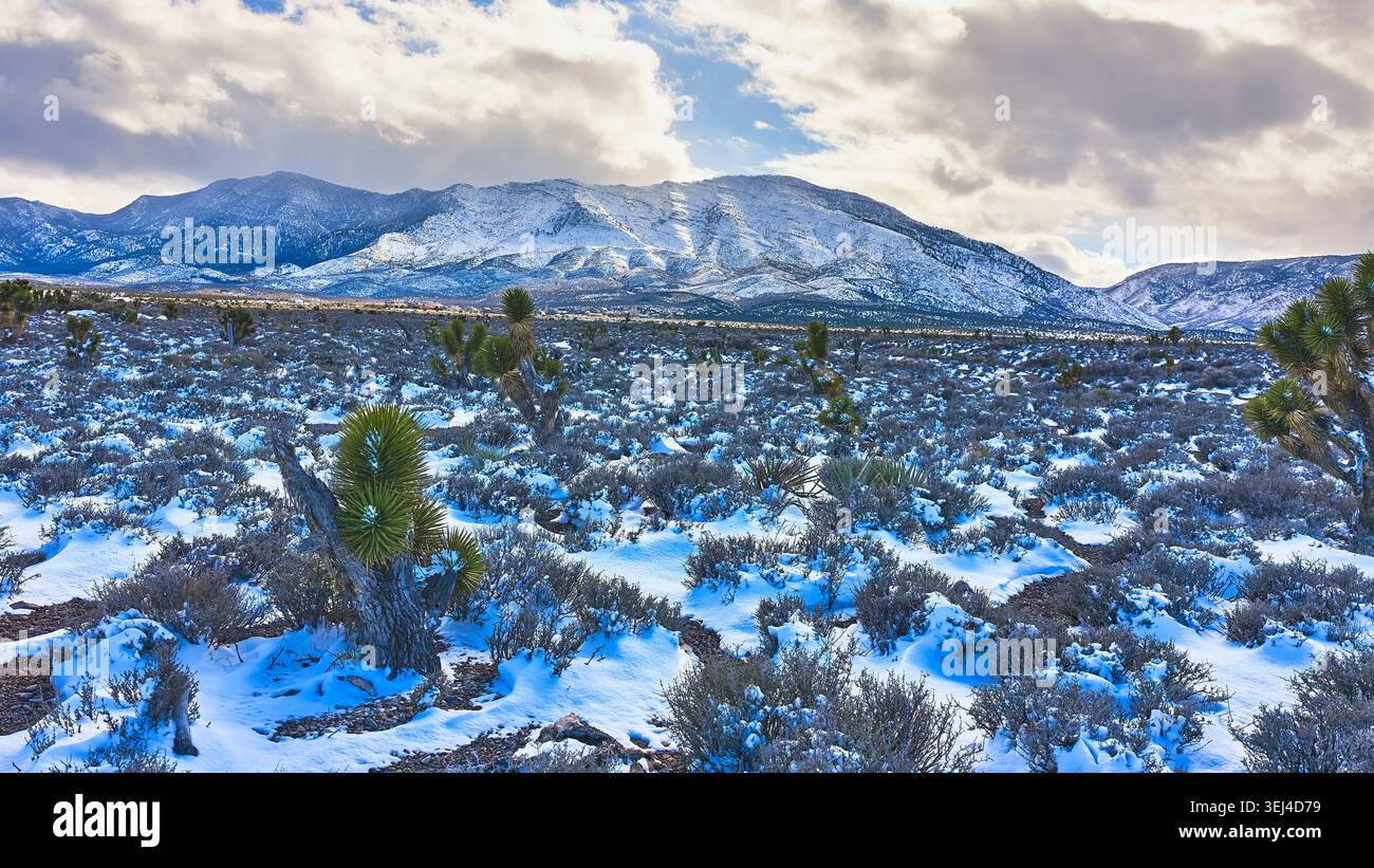 Joshua Trees ricoperti di neve e Sagebrush con il Monte Charleston nel paesaggio invernale Foto Stock