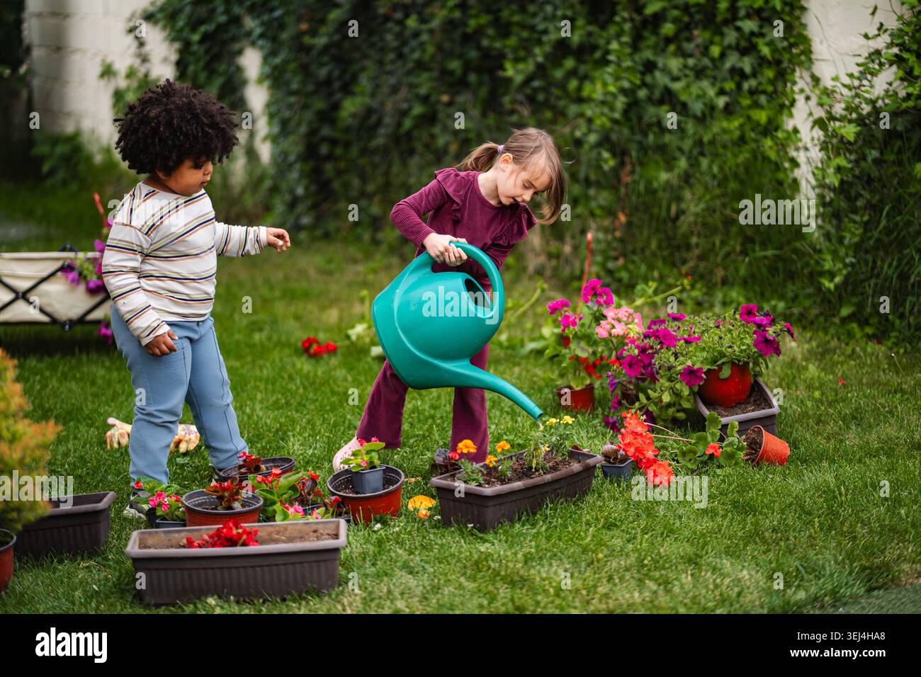 I bambini imparano le abilità di giardinaggio innaffiando i fiori nel cortile Foto Stock