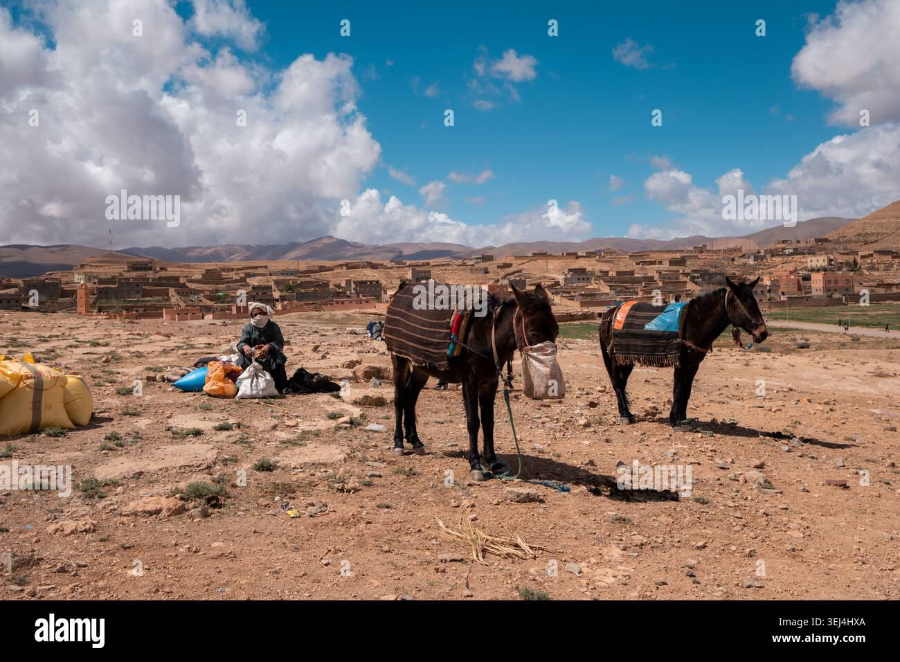 Due asini si trovano in un paesaggio montano e asciutto con una persona che riposa nelle vicinanze. La scena presenta un cielo azzurro e un terreno montuoso lontano. Foto Stock