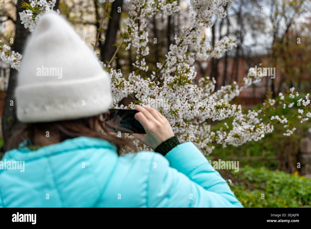 Vista ravvicinata di Fiore e smartphone acquisizione di dettagli con cappello e maglia, rami di alberi di parco pieni di petali, angolo editoriale che enfatizza la trama Foto Stock