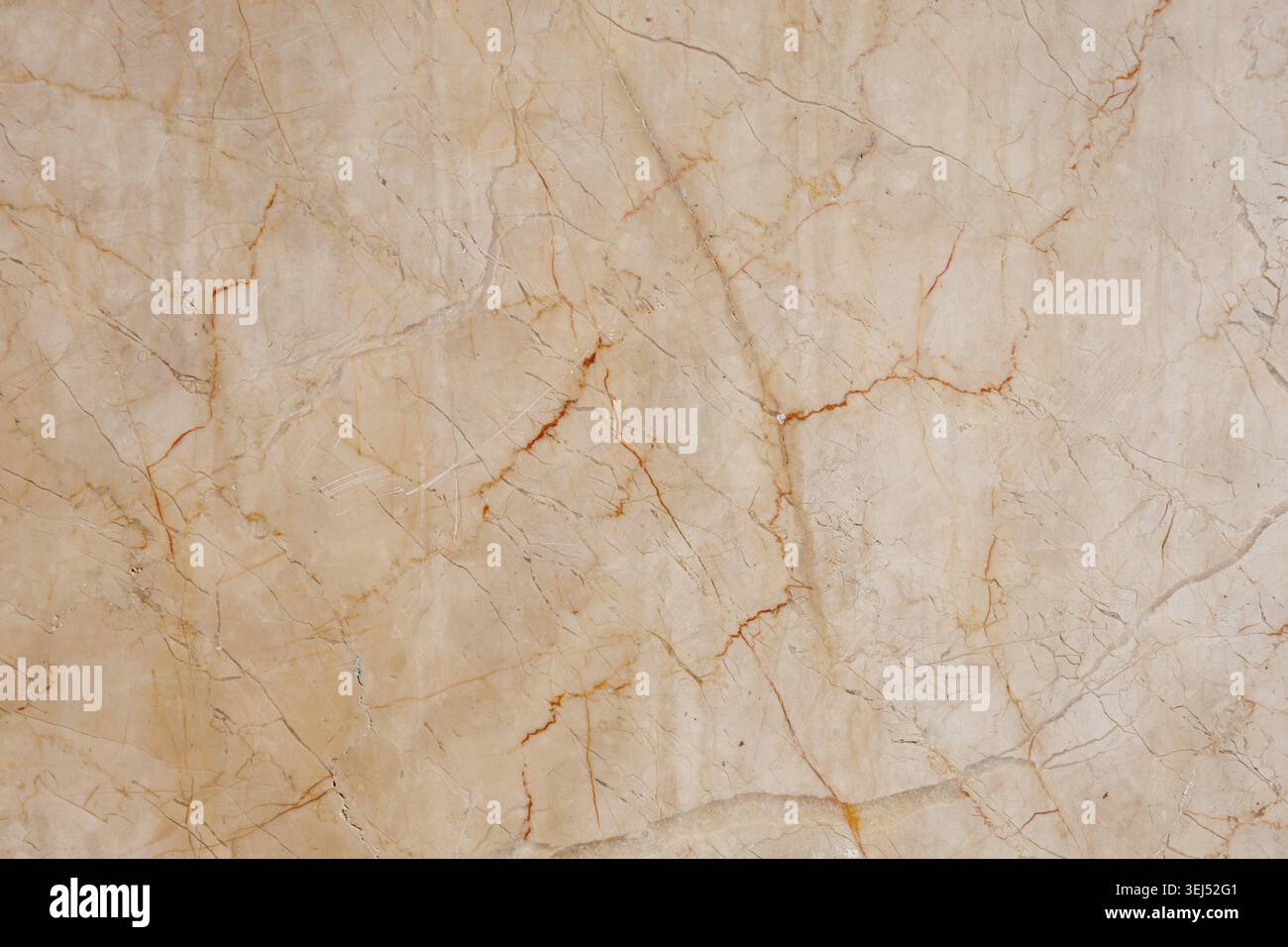 Lastra in marmo beige lucidato con grana venosa marrone Foto Stock