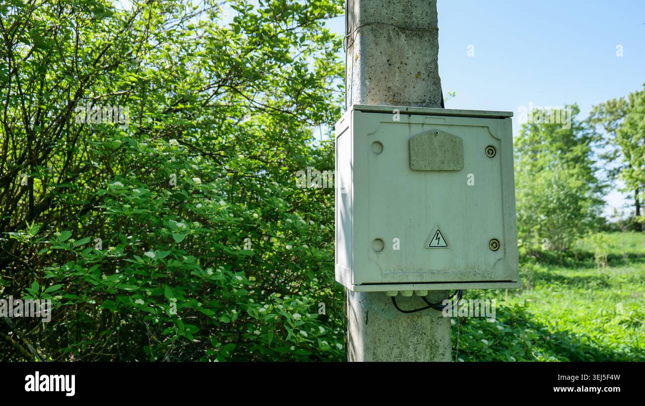 Scatola elettrica su un palo di cemento in una zona rurale con alberi verdi Foto Stock