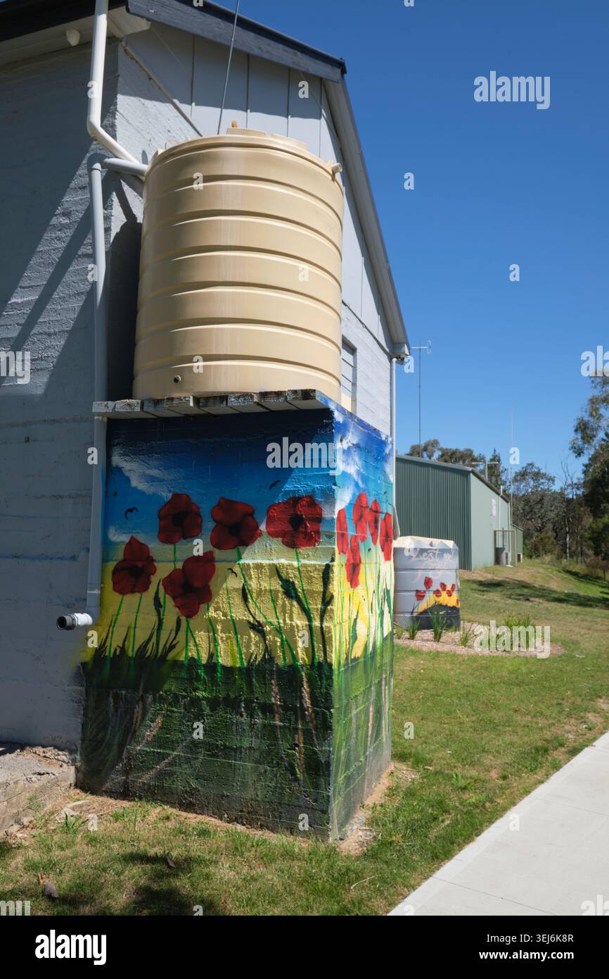Un serbatoio d'acqua verniciato con papaveri rossi per ANZAC, per non dimenticarlo. A Tallong, nuovo Galles del Sud, Australia. Foto Stock