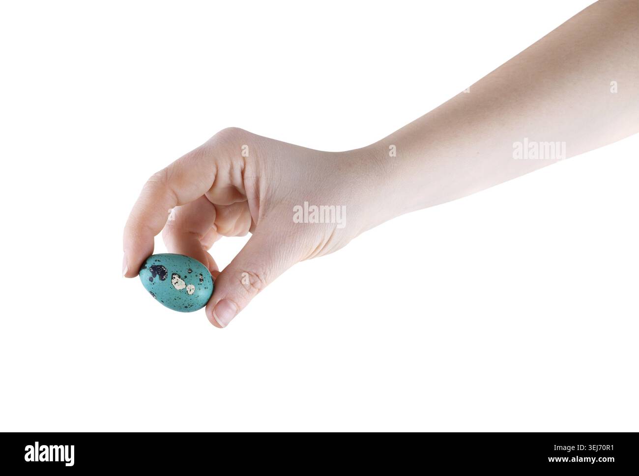 Uovo di quaglia dipinto in mano su sfondo bianco. Isolato con percorso di ritaglio Foto Stock