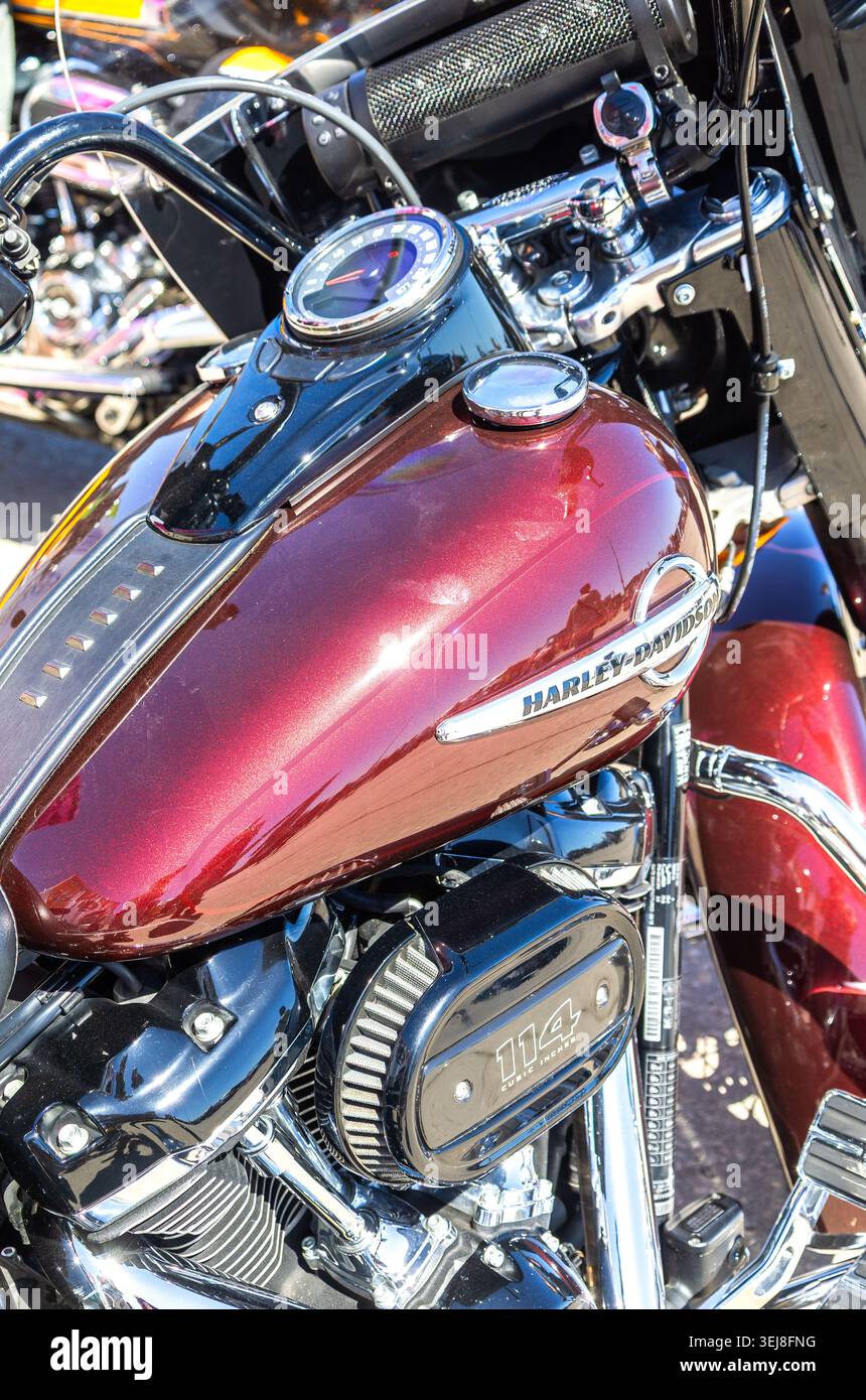 Samara, Russia - 23 maggio 2026: Logo Harley Davidson sul serbatoio carburante della motocicletta Foto Stock