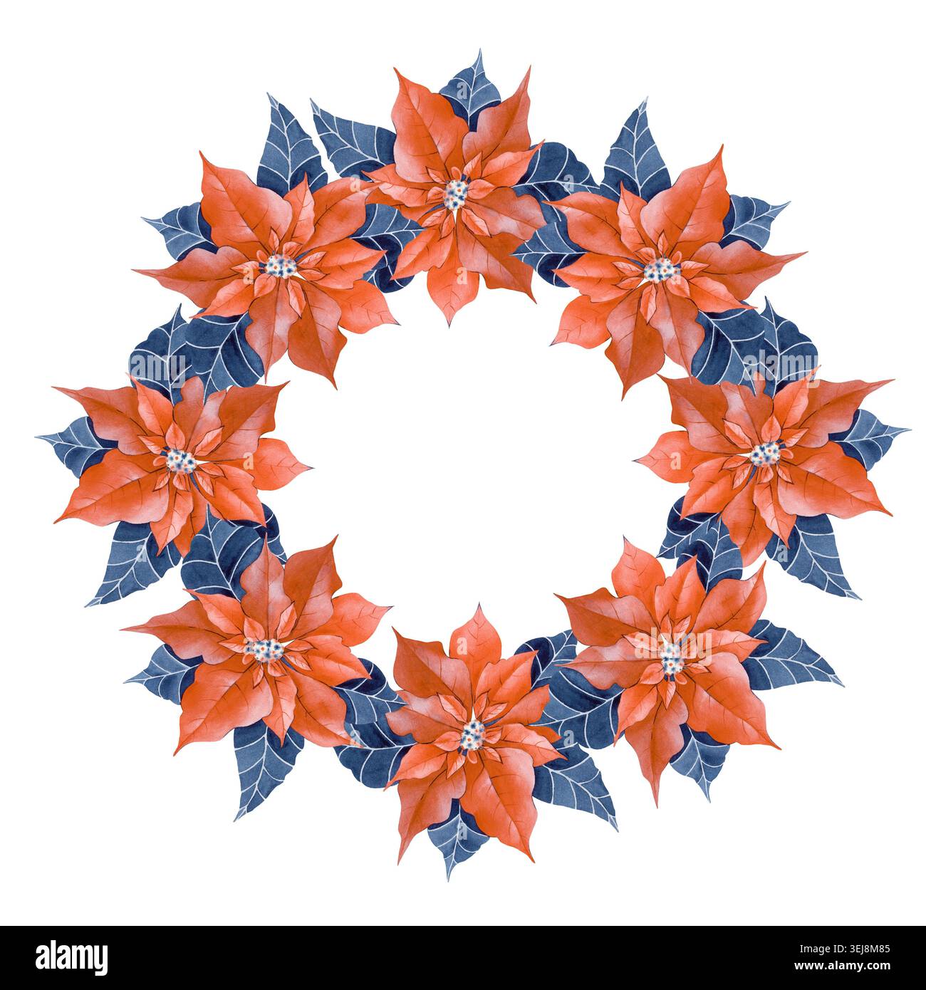 Un acquerello disegnato a mano che raffigura una corona di vacanza rotonda fatta di vivaci fiori rossi di punta e foglie blu scuro. Bellissimo inverno festivo Foto Stock