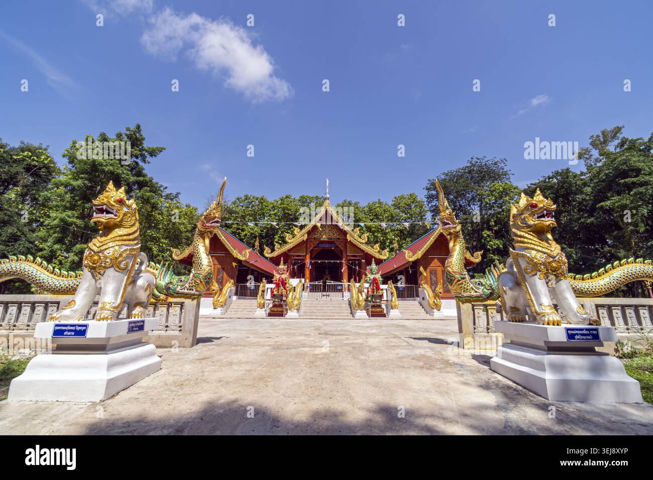 Dok Kham Tai, Phayao, Thailandia - 28 maggio 2026: Wat Chaloem Phra Kiat (Wat San Pa Fang), singha e Naga statue nella sala principale. Foto Stock