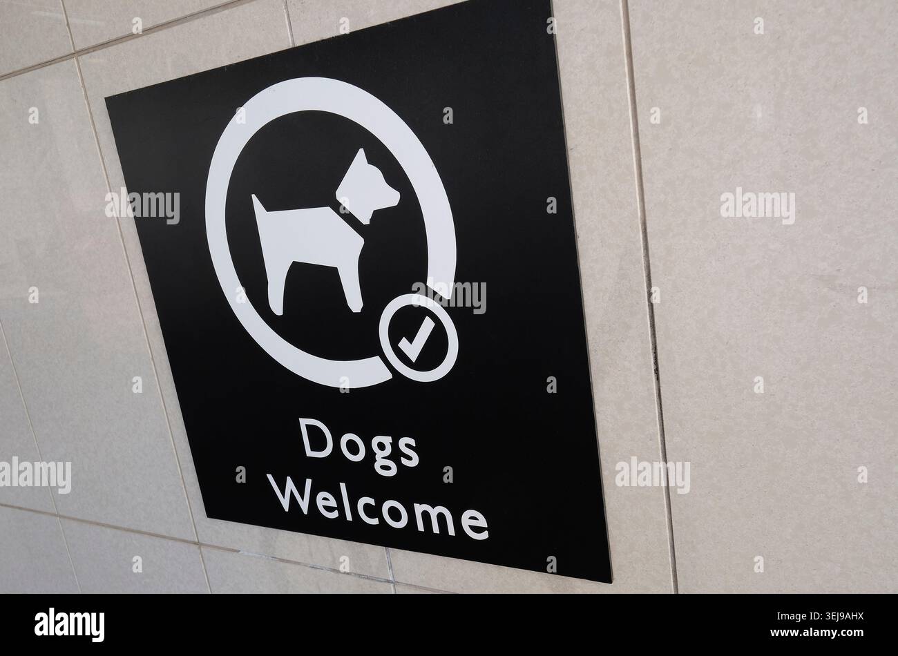 cartello di benvenuto per cani fuori dal negozio john lewis, norwich, norfolk, inghilterra Foto Stock