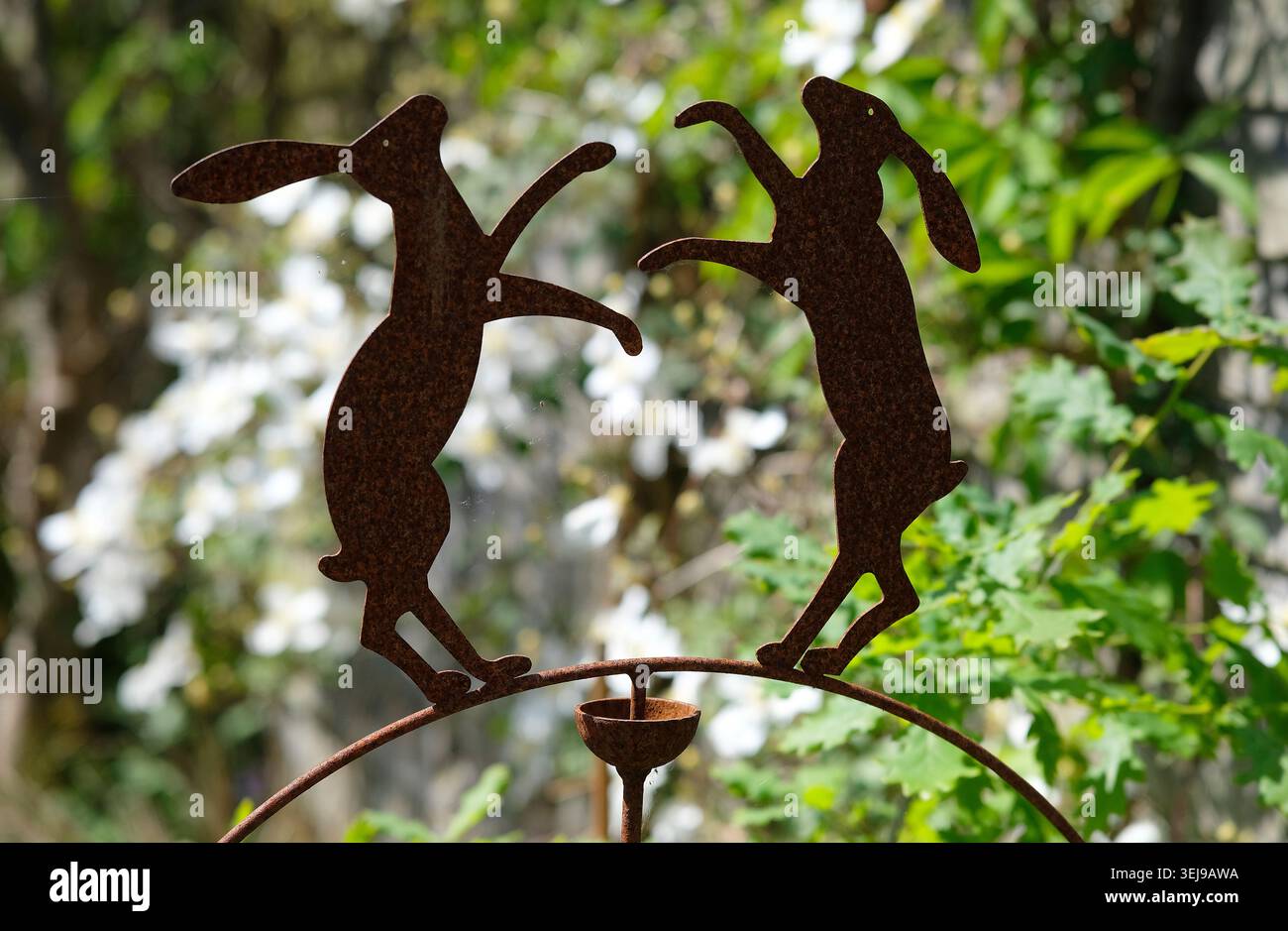 la boxe in metallo arrugginito lepre in un giardino inglese, norfolk, inghilterra Foto Stock