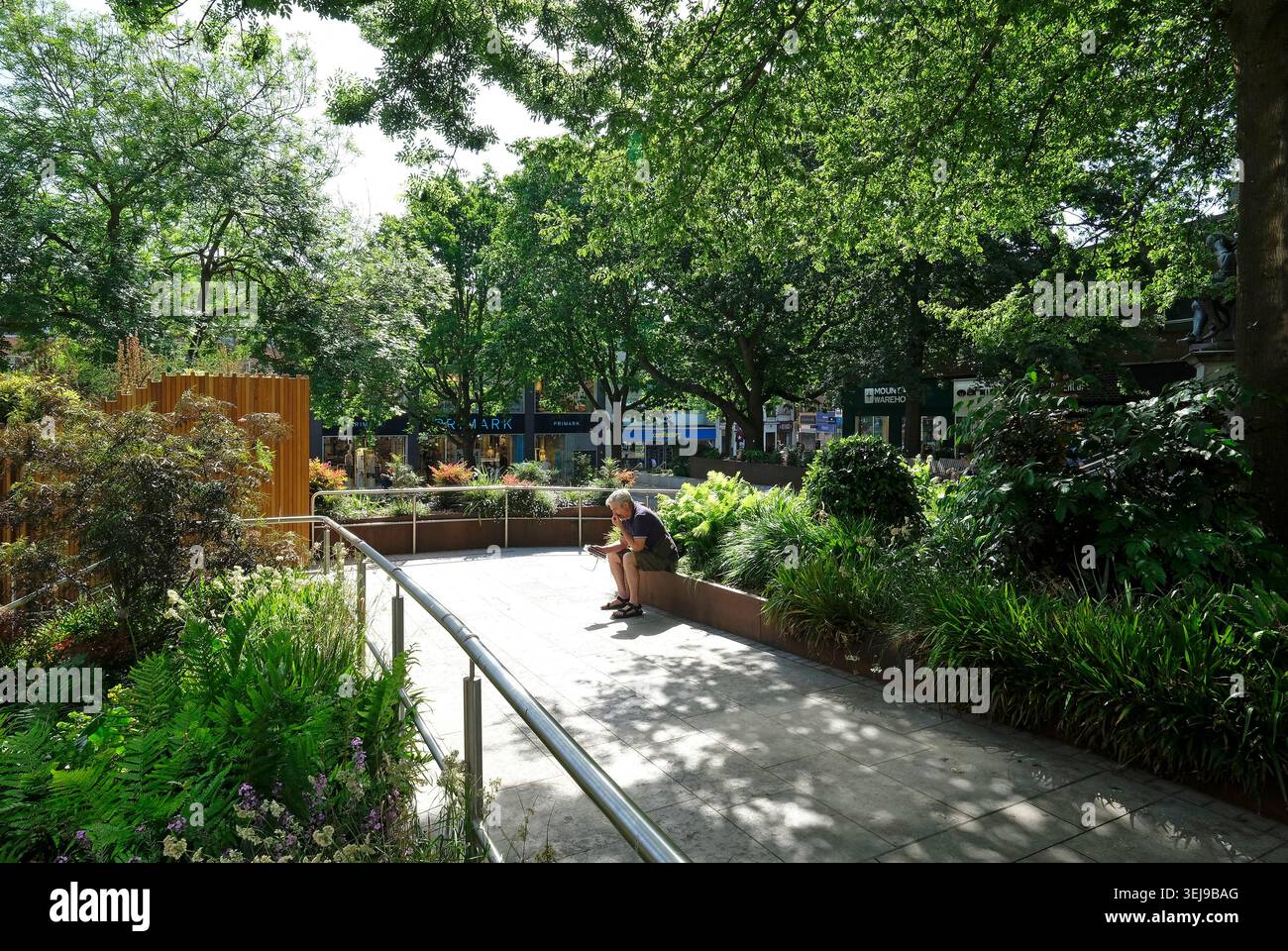 piante e alberi, haymarket, norwich, norfolk, inghilterra Foto Stock