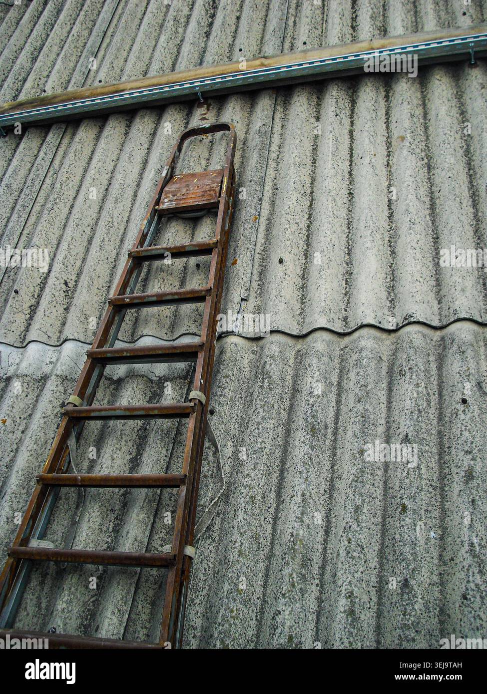 Vecchia scala arrugginita appoggiata su un tetto ondulato, creando un concetto di manutenzione, riparazione, costruzione e sicurezza. Foto Stock